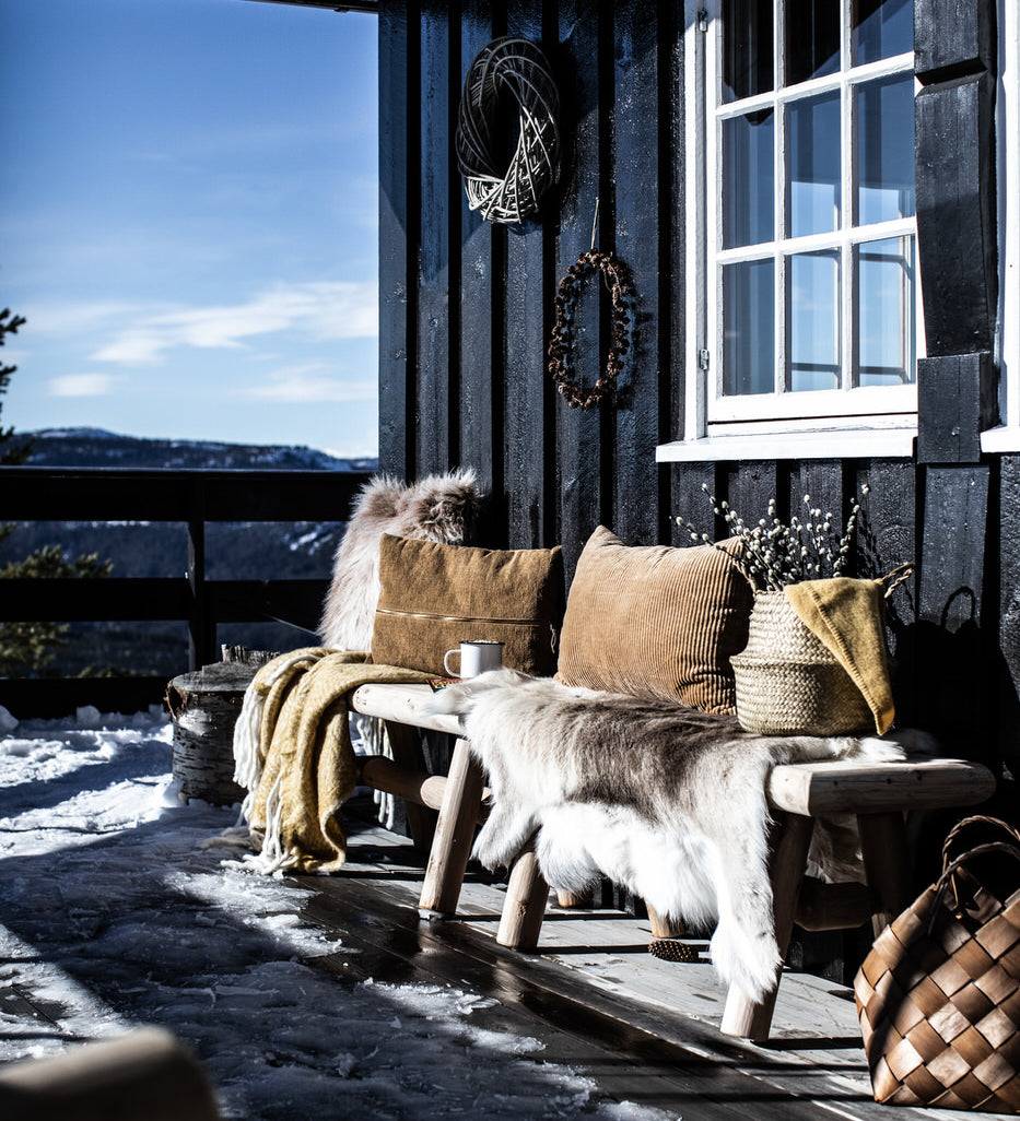 benker i sedertre
