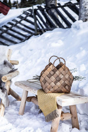 2510-CO-env-winter-65