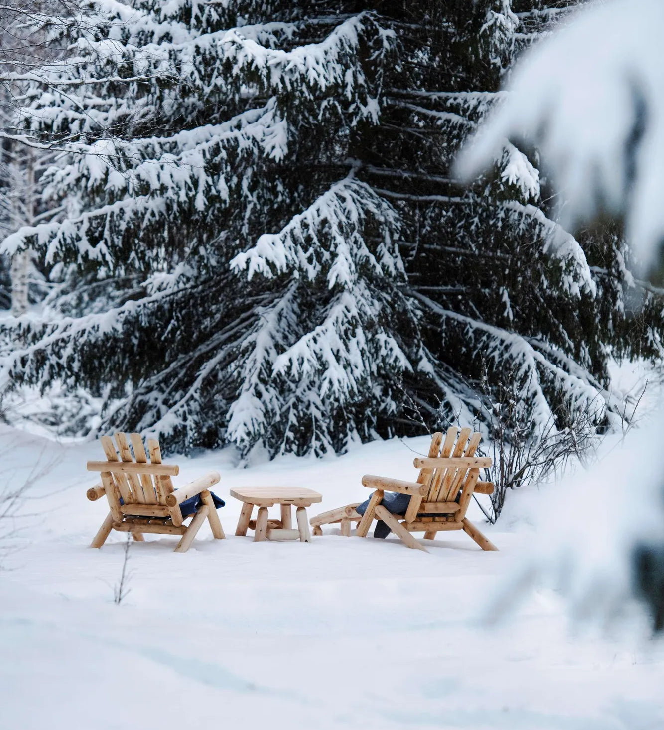 2520-CO-env-winter-3