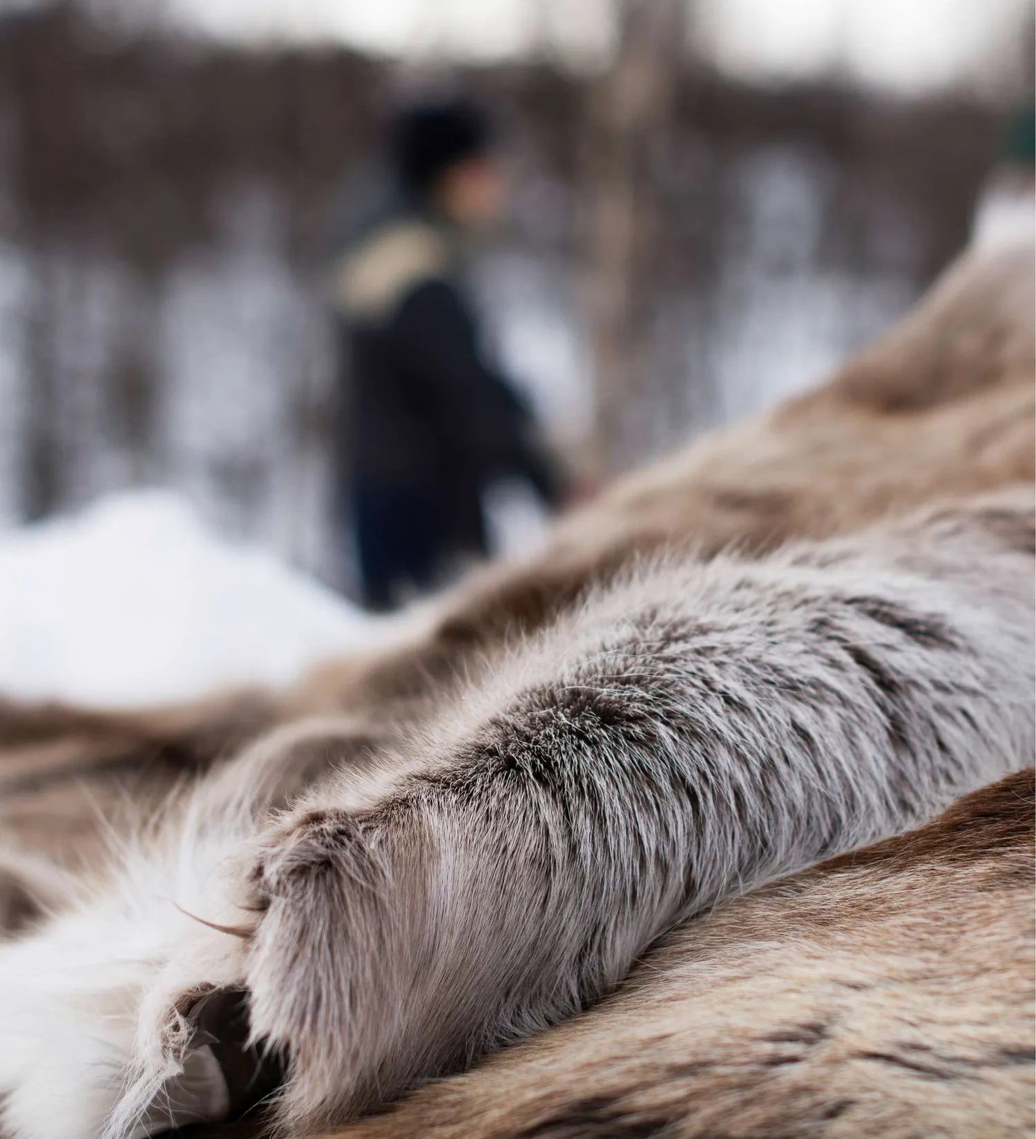 5010-env-winter-1