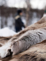 5010-env-winter-1