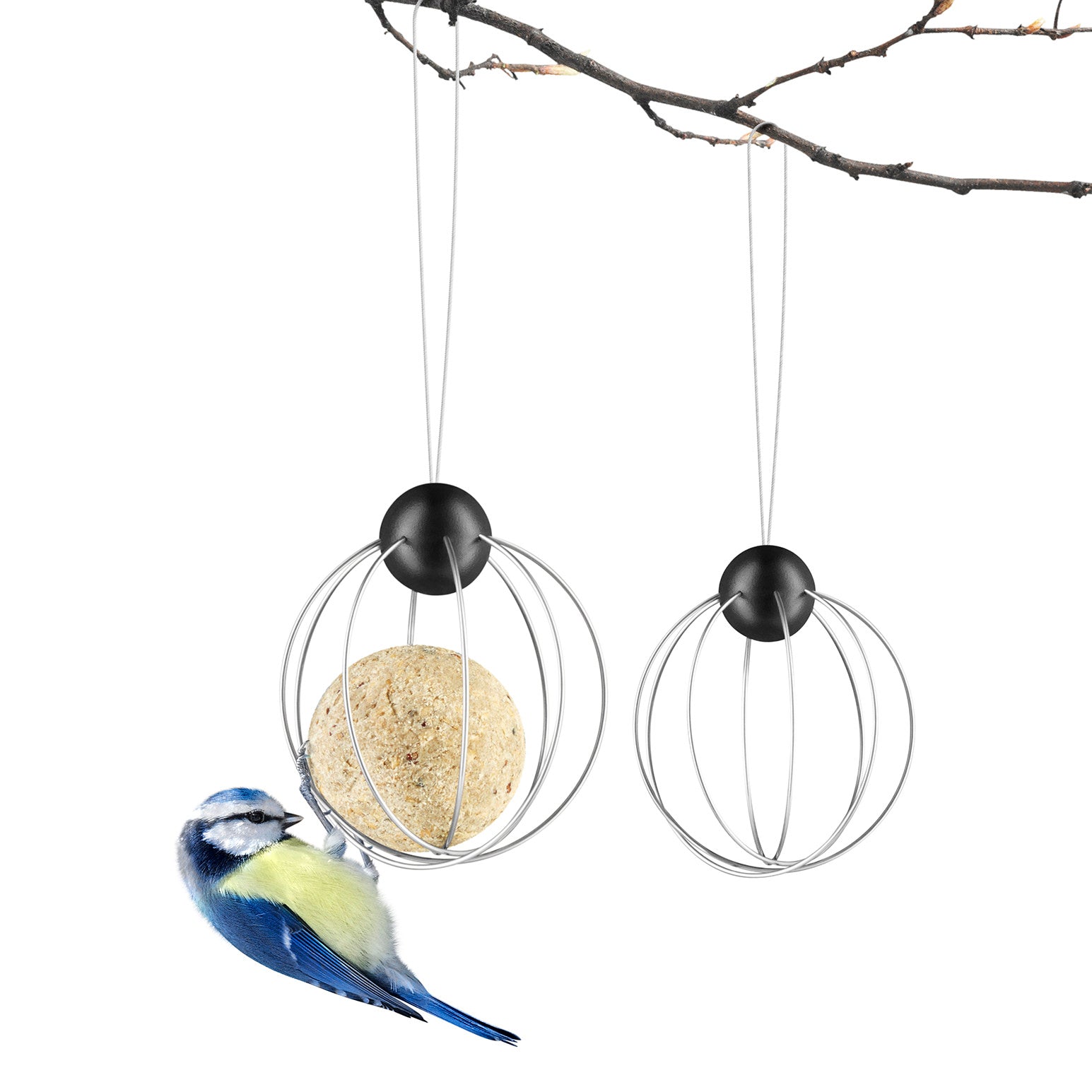 571033_Suet_bird_feeders_2.jpg